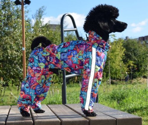 Выкройка комбинезона для собаки "Пудель"