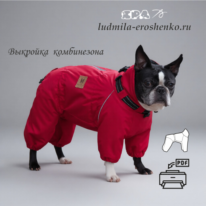 Выкройка комбинезона для собаки "Бостон"