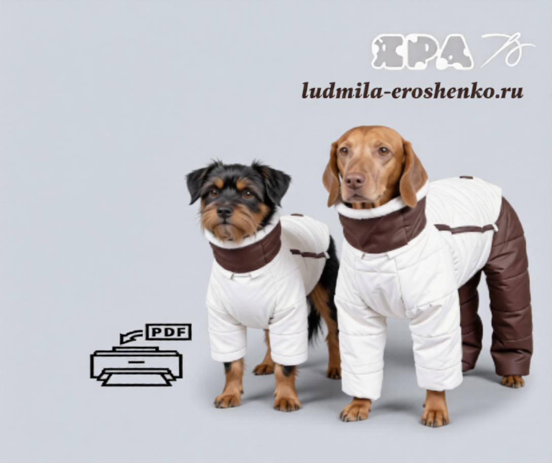 Выкройка комбинезона для собаки