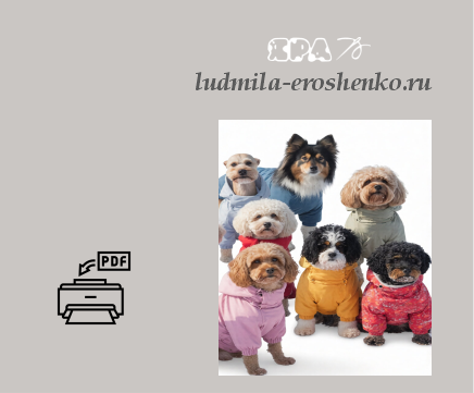 Выкройка комбинезона для собаки, разные породы. 