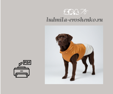 Выкройка жилета для собаки.