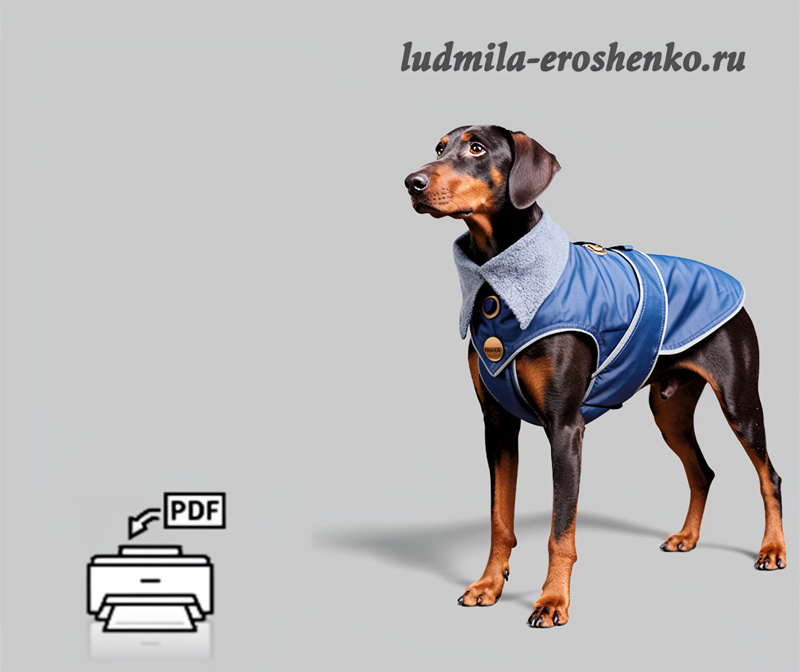 Выкройка попоны ЯРА для собаки