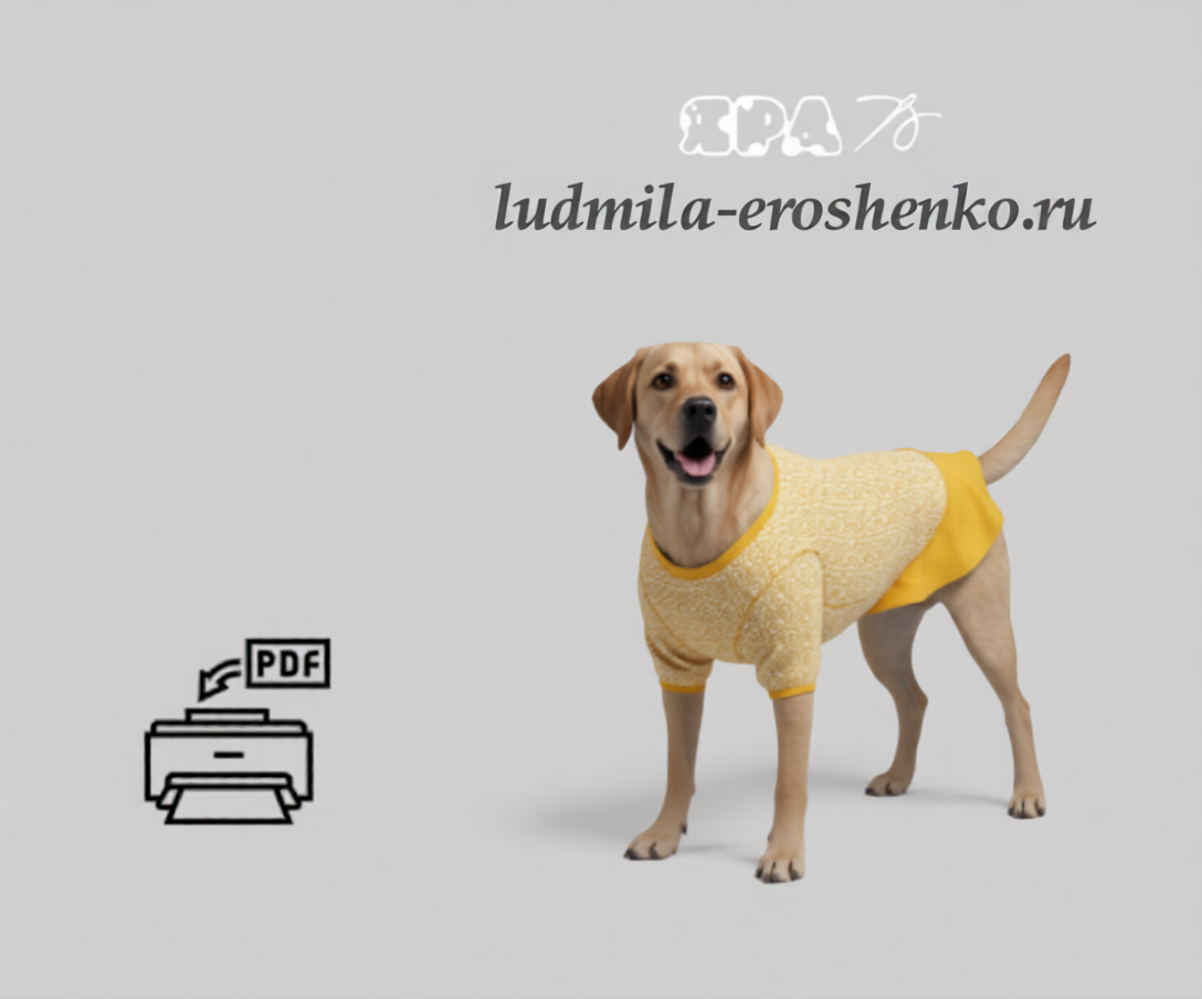 Выкройка майки-футболки для собаки