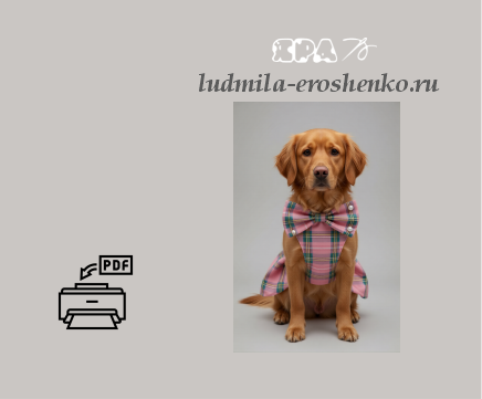 Выкройки для стильных питомцев 