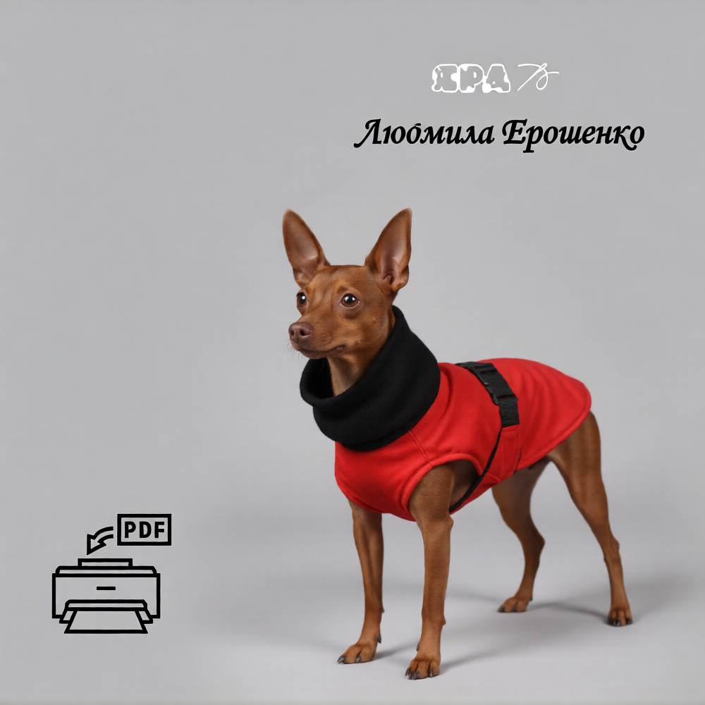 Выкройка попоны для собаки БЭЛЛА