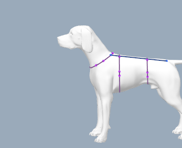 Как снять мерки с питомца.