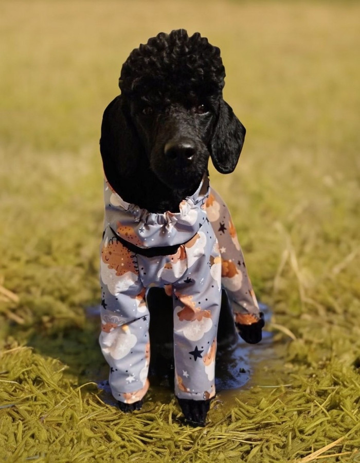 Выкройка комбинезона для собаки  "Пудель"