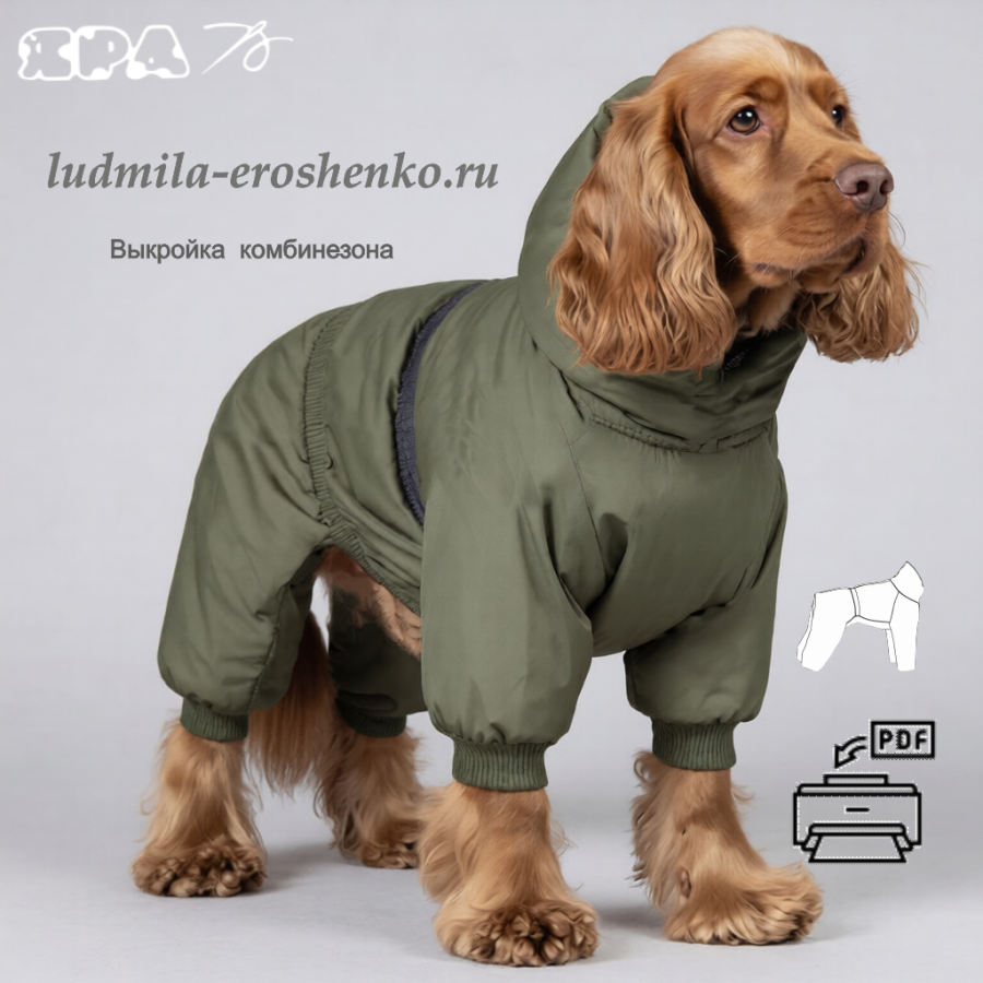 Выкройка комбинезона для собаки "Спаниэлька"