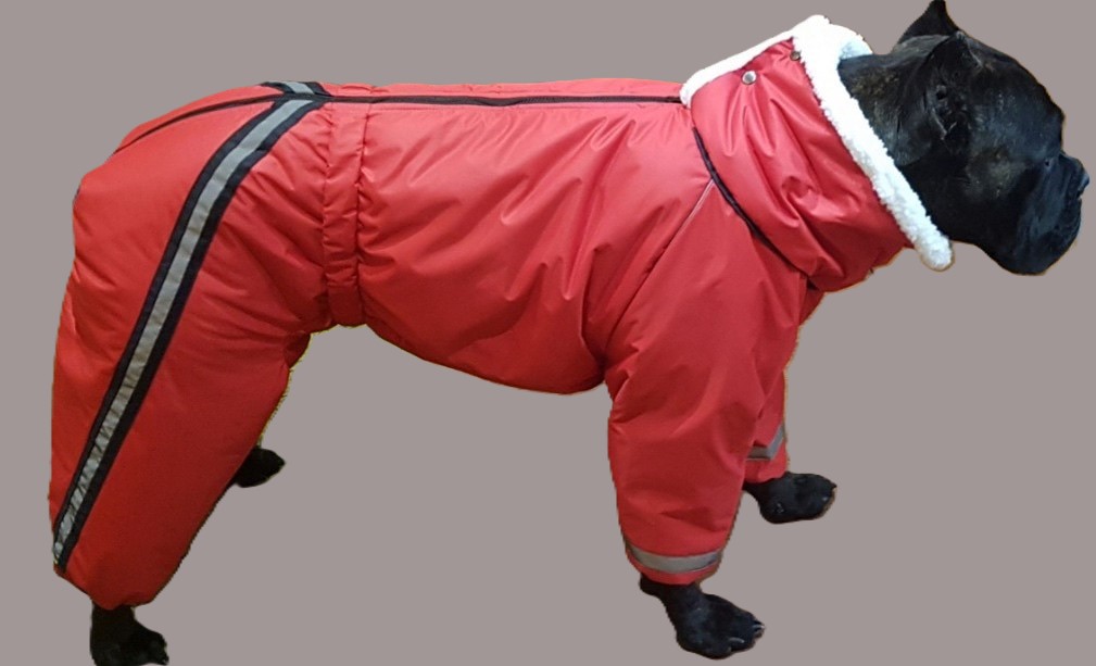 Выкройка комбинезона для собаки "Кане-корсо"