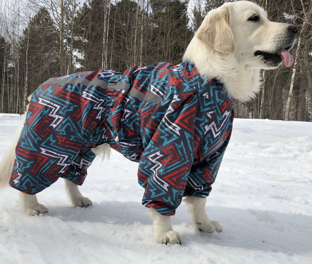 Выкройка комбинезона для собаки "Кане-корсо"