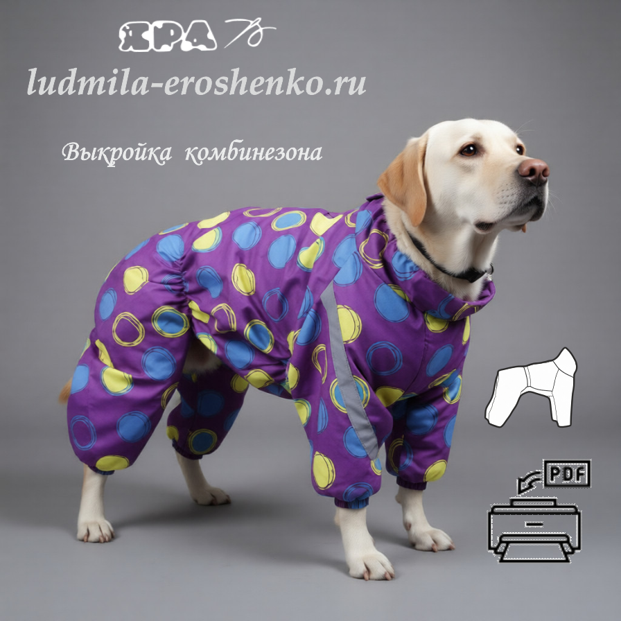 Выкройка комбинезона для собаки "Лабрадор"