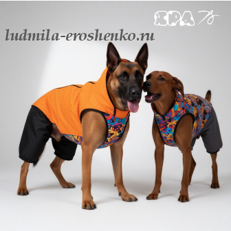 Выкройка попоны _Искра"размерный ряд