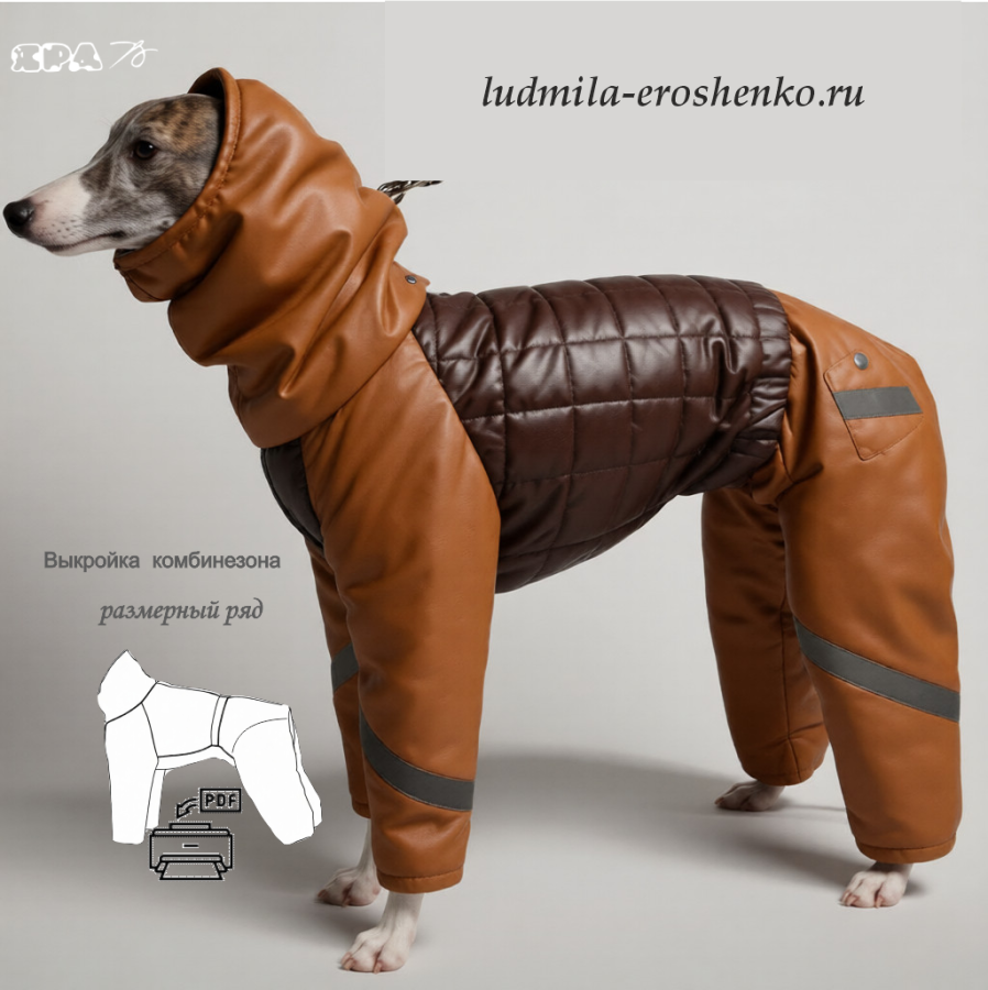 Выкройка комбинезона для собаки "Уиппет"