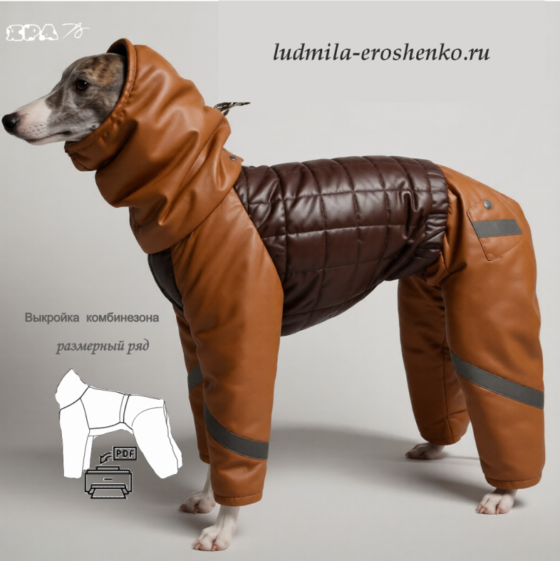 Выкройка комбинезона для собаки "Уиппет"