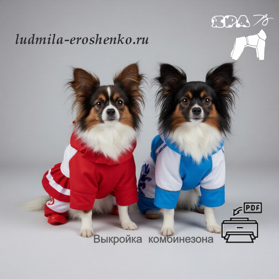 Выкройка  комбинезона для собаки "Папильон"