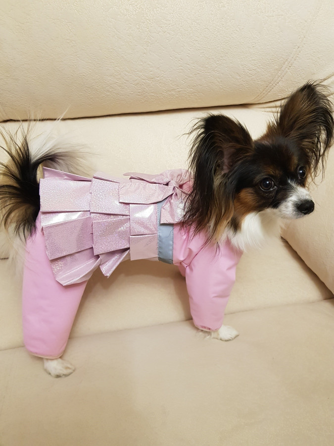 Папильон - Выкройка  комбинезона для собаки.