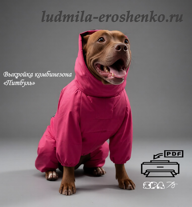 Выкройка комбинезона "Питбуль"