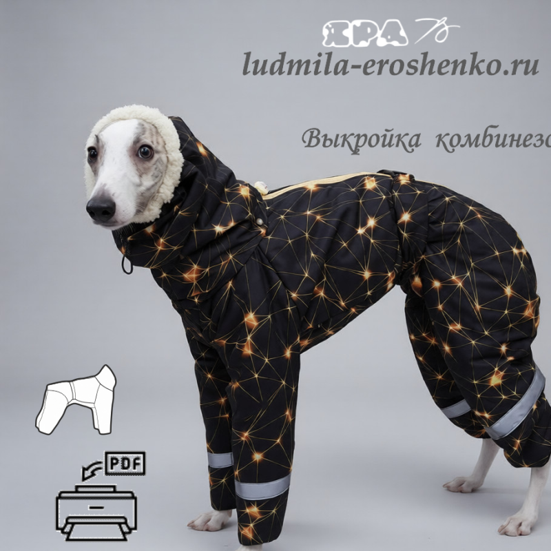 Выкройка комбинезона для собаки " Левретка"