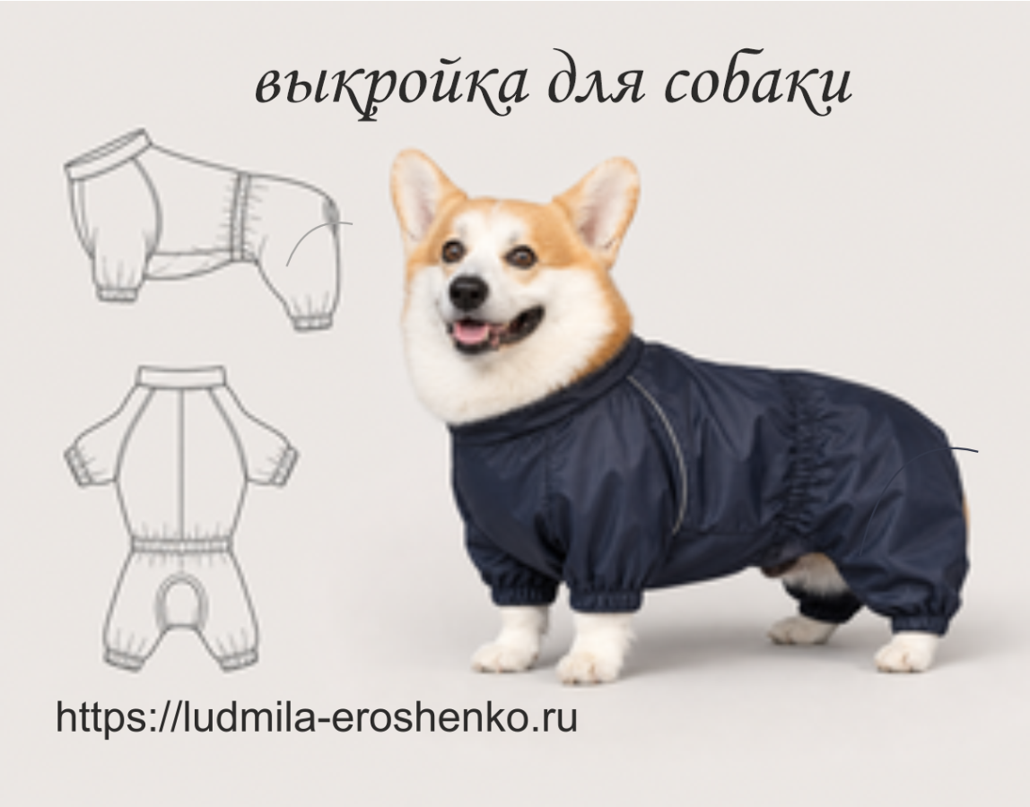 Корги- Выкройка комбинезона для собаки.