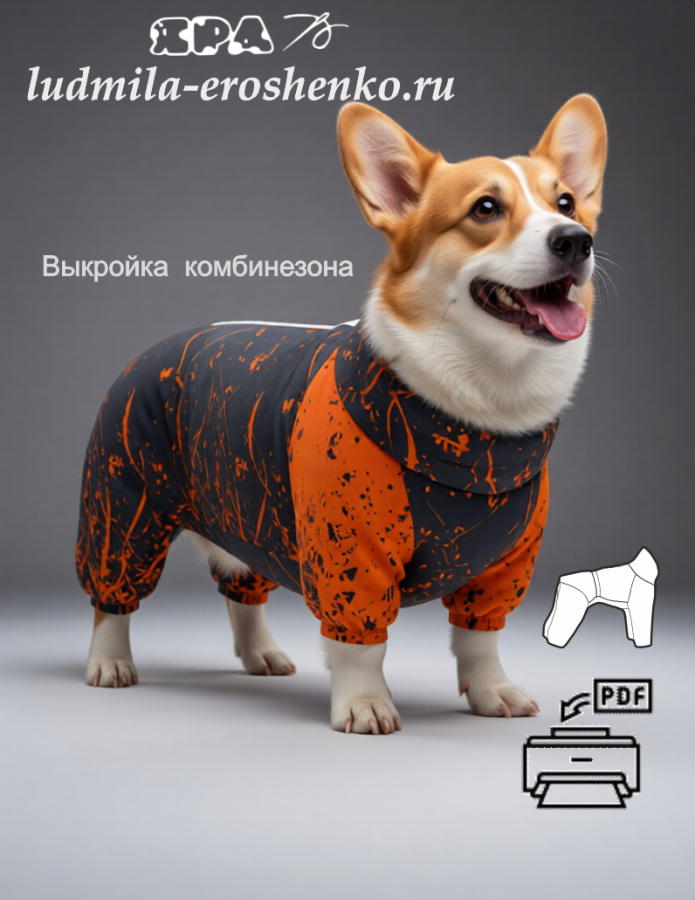 Выкройка комбинезона для собаки "Корги"