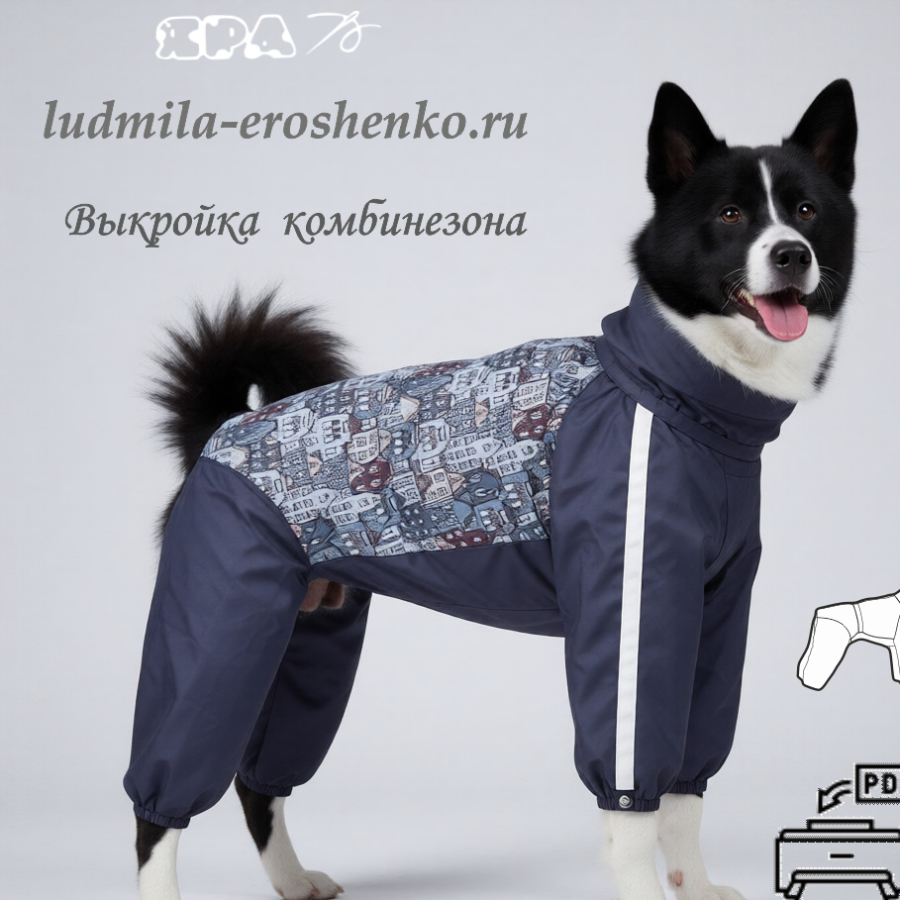 Выкройка комбинезона для собаки "Лайка"