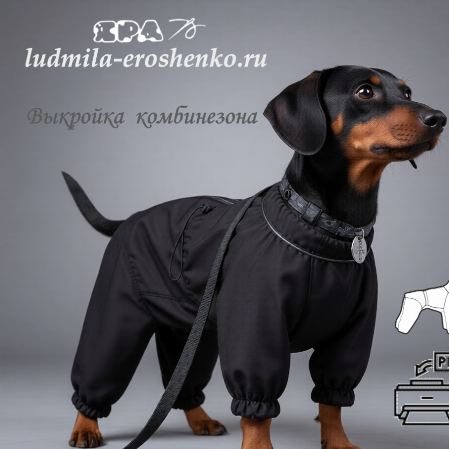 Выкройка комбинезона для собаки "Немецкий пинчер"