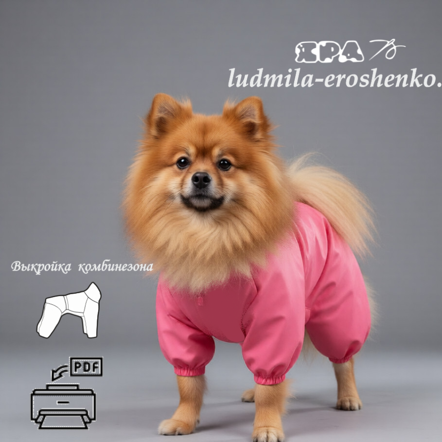 Выкройка комбинезона для собаки "Шпиц"
