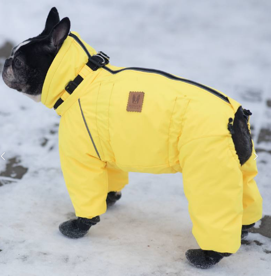 Выкройка комбинезона для собаки "Бостон"