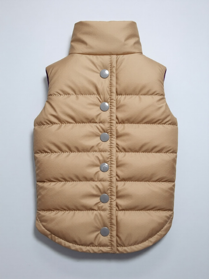 Выкройка  жилета для собаки