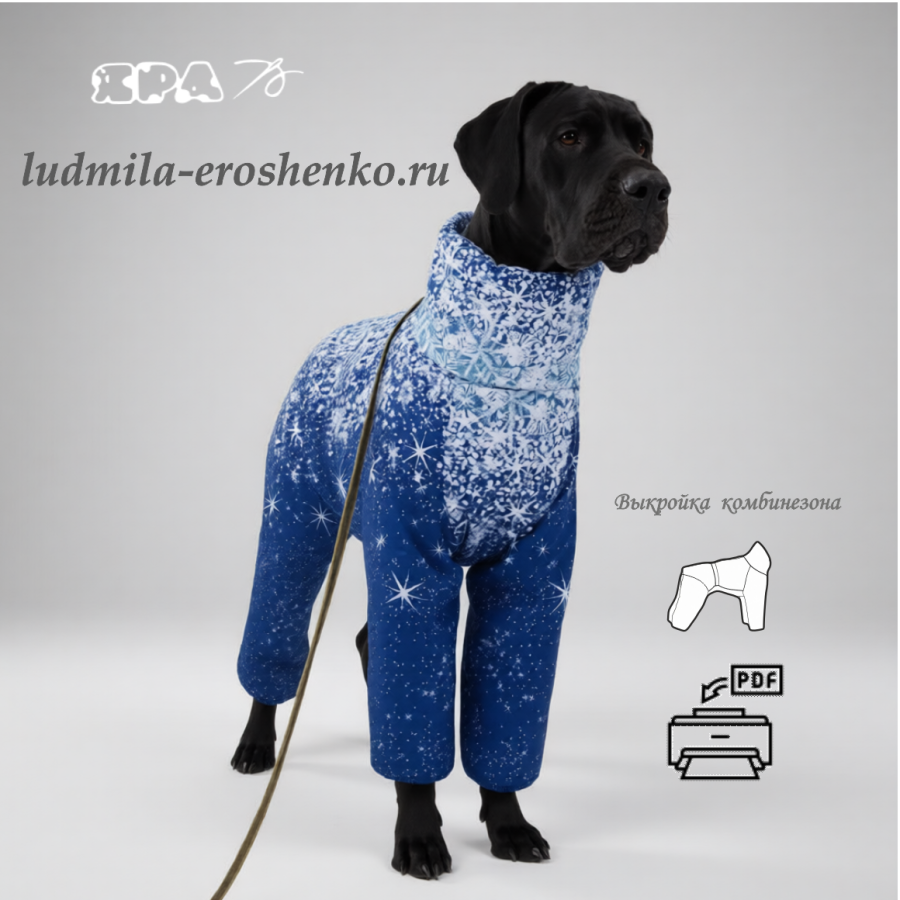 Выкройка комбинезона "Дог"