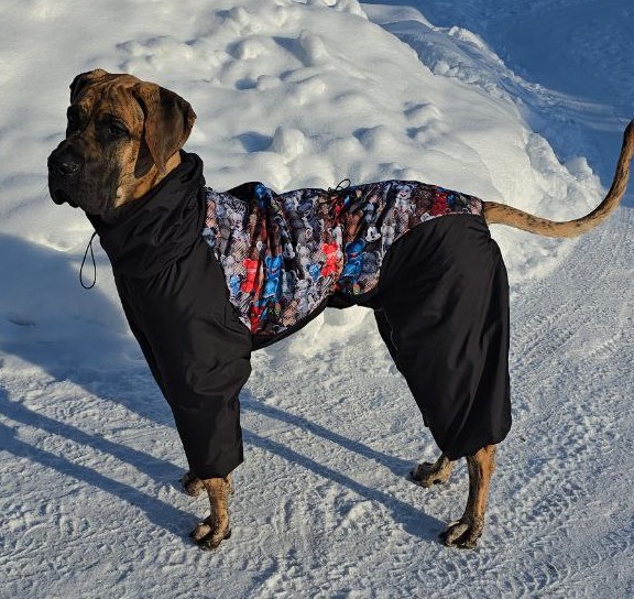 Выкройка комбинезона "Дог"