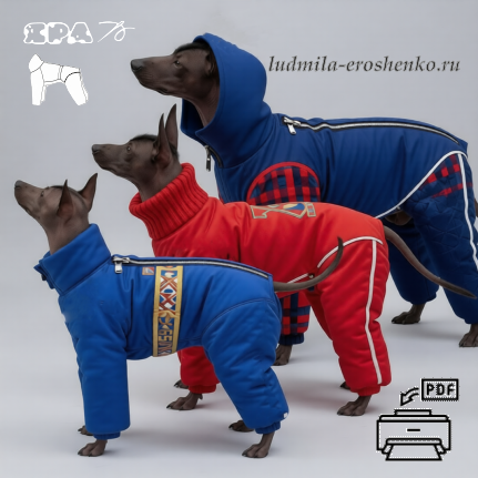 Выкройка комбинезона для собаки "Ксоло"