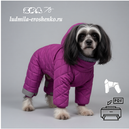 Выкройка комбинезона для собаки "Китайская хохлатая"