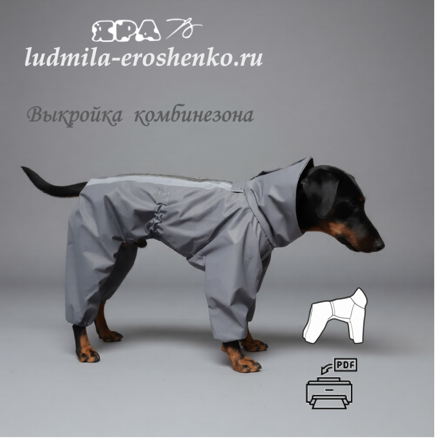 Выкройка комбинезона для собаки "Ягдтерьер".