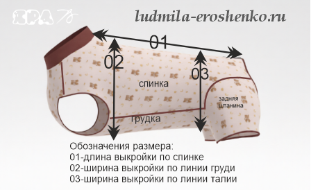 Выкройка боди для собаки