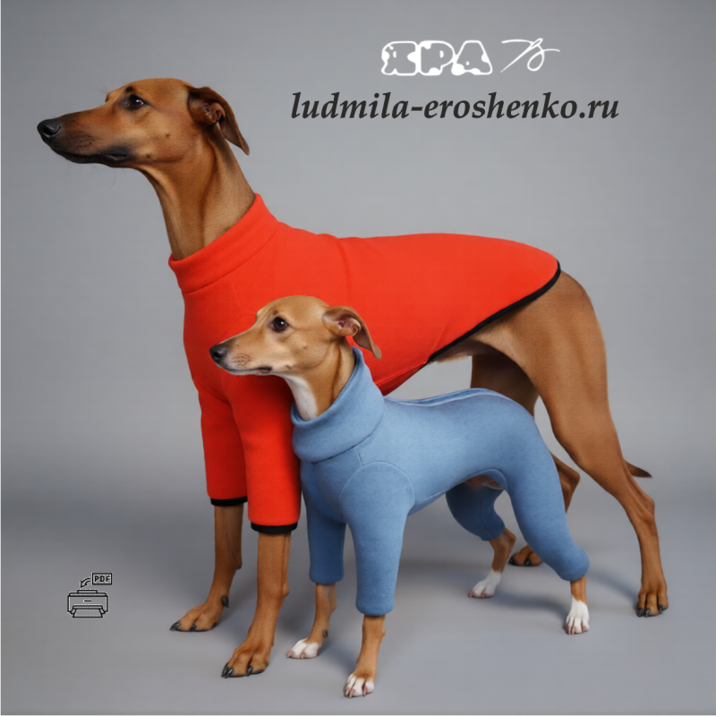 выкройка трикотажного комбинезона _Борзые_ для собаки