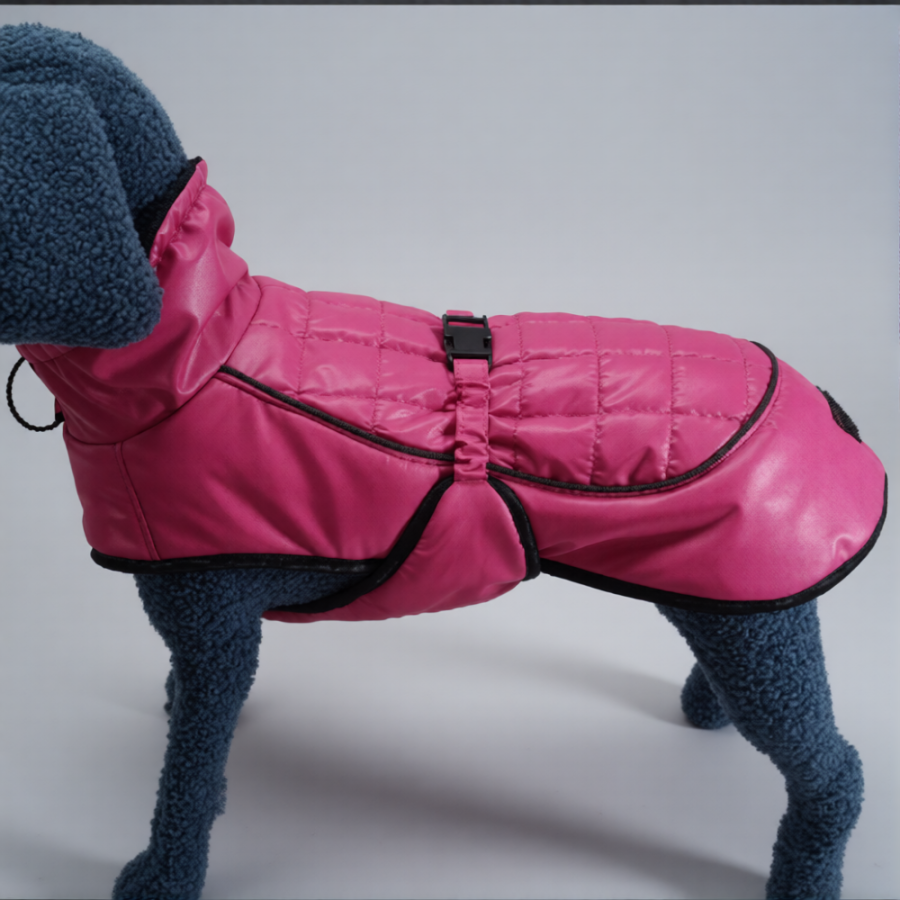 Выкройка попоны для собаки- Стрела