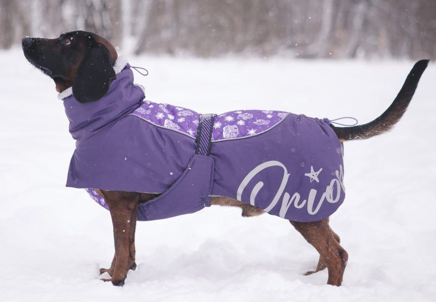 Выкройка попоны для собаки- Стрела