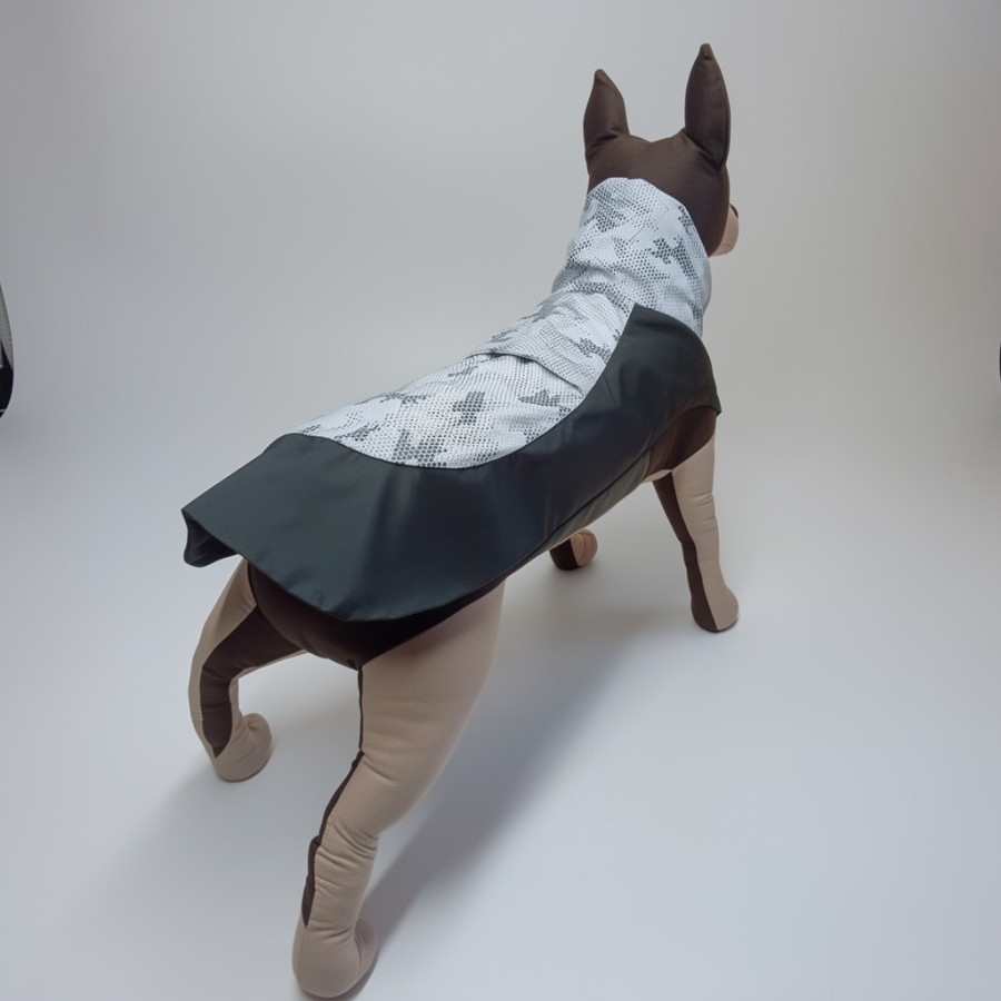 Выкройка попоны для собаки- Стрела