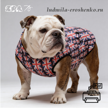 Выкройка жилета для собаки _Булли