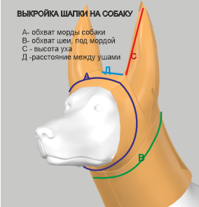 Выкройка шапки для собаки.