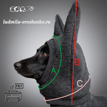 Выкройка шапки для собаки (трикотажная).