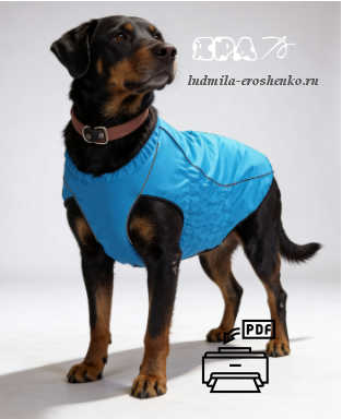 Выкройка жилета Ротвейлер