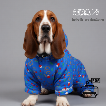 Выкройка комбинезона для собаки "Бассет хаунд"