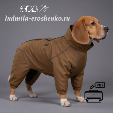 Выкройка комбинезона для собаки "Бигль"