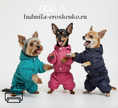 Выкройки комбинезона для мелких пород собак