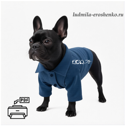 Выкройка рубашки с рукавом - реглан.