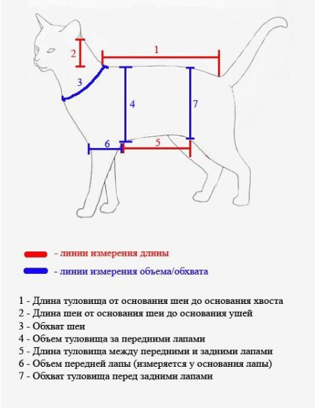 Выкройка комбинезона для кота