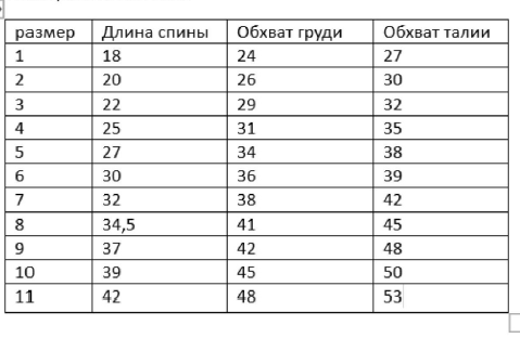Выкройка комбинезона для кота