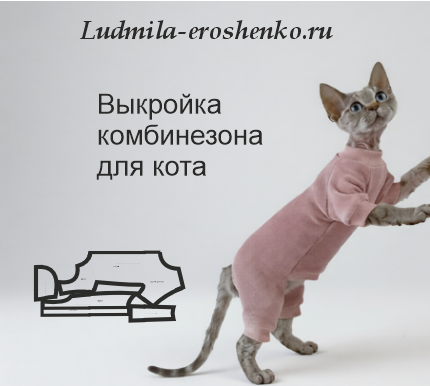 Выкройка комбинезона для кота